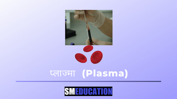 What is Plasma in Hindi