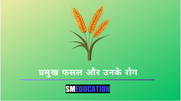 Plant Diseases in hindi